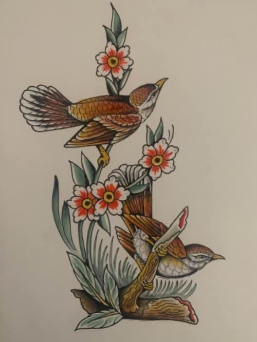 Birds